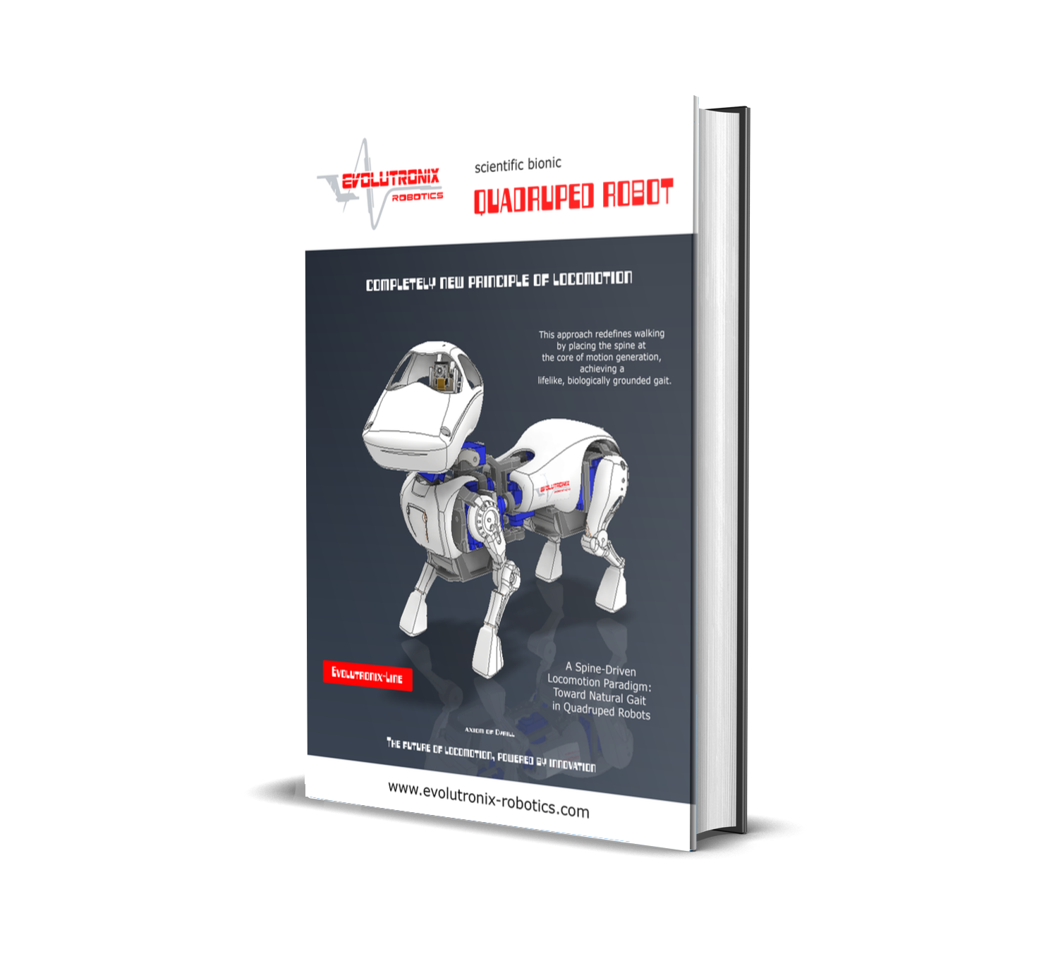 Robot customization accessories